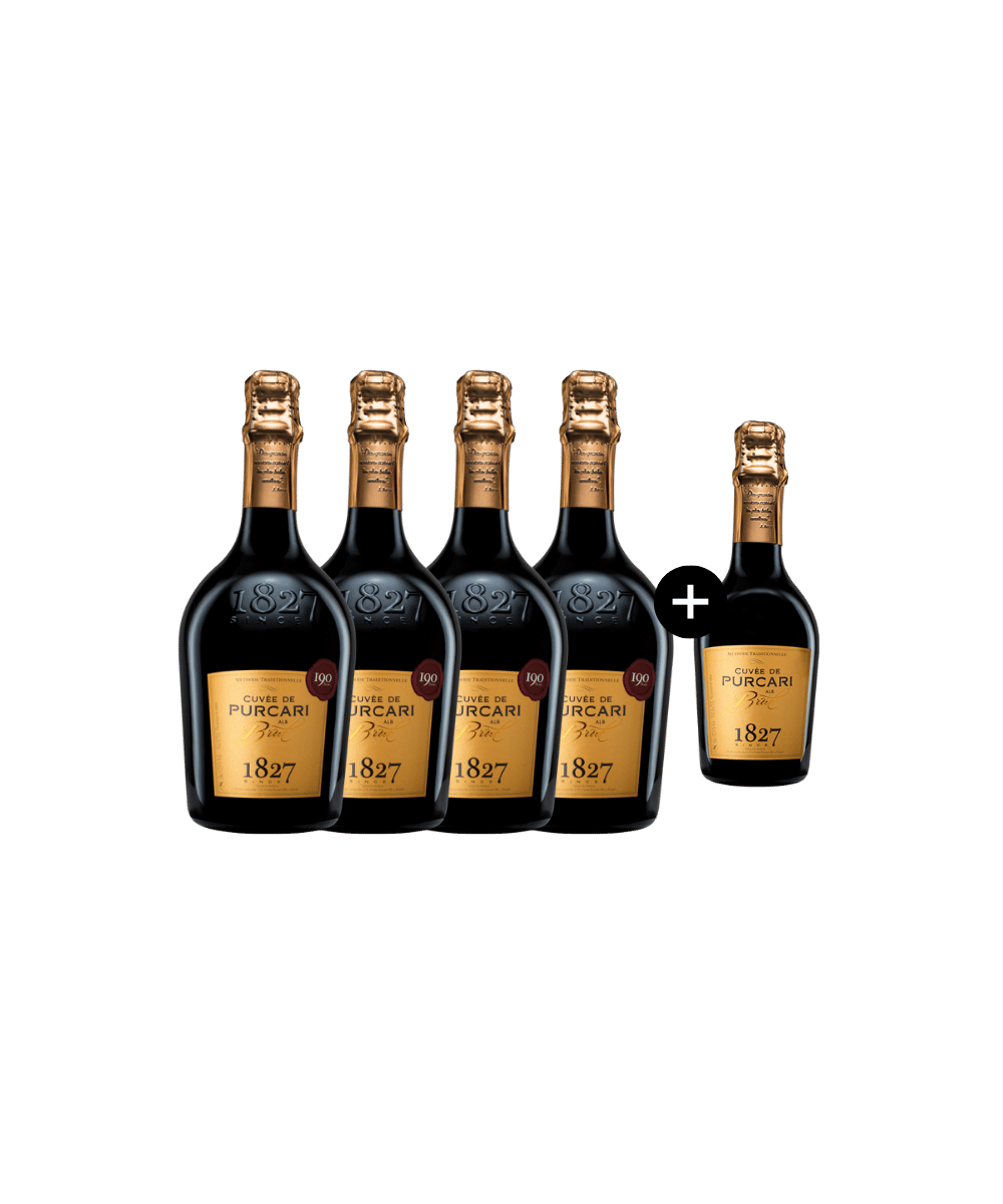 Polo Special: 4 Cuvée Brut + 1 Cuvée Brut Filette Gratis